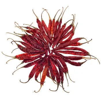 Natural Stemless Red Chilli Stemless Red Chilli41-6205474-57259.webp